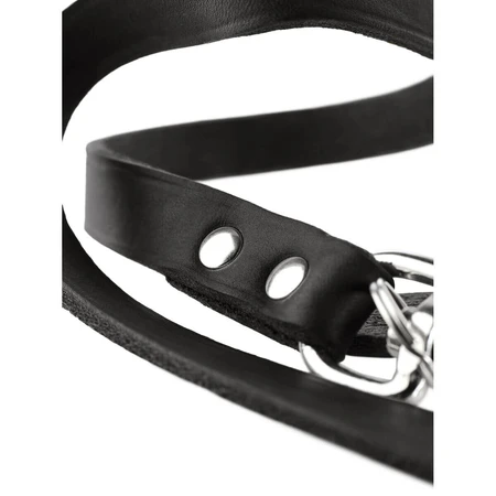 Hundeleine Hunter Schwarz 200 cm