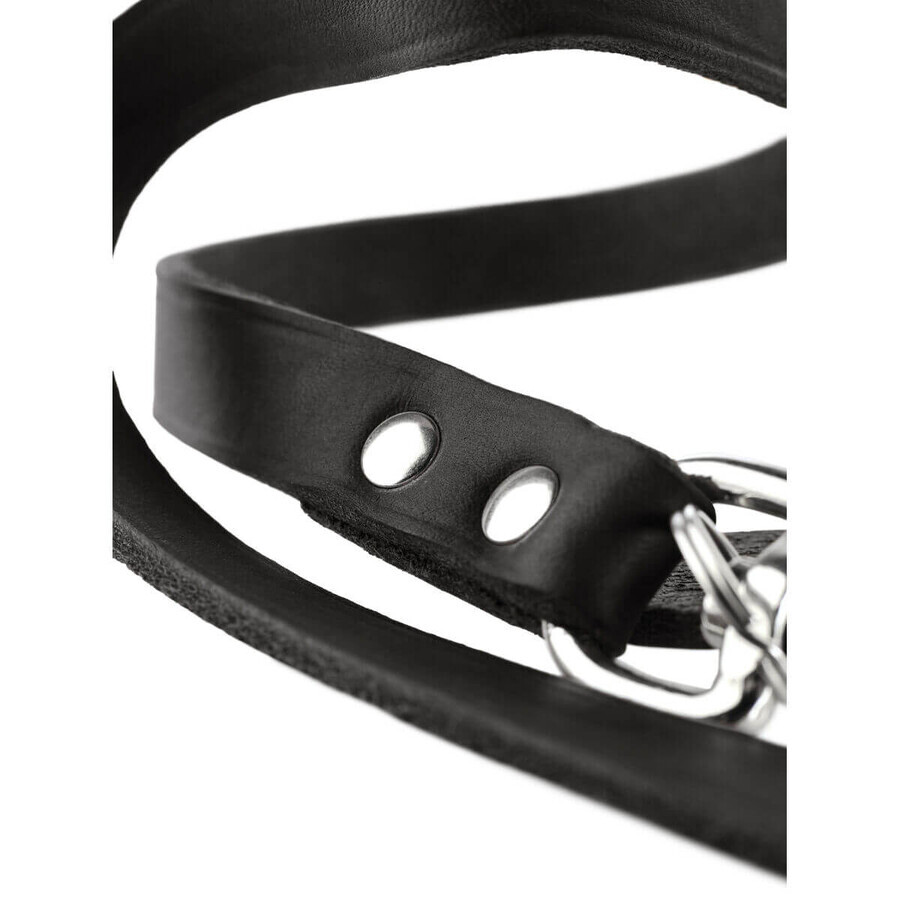 Laisse pour Chien Hunter Noir 200 cm