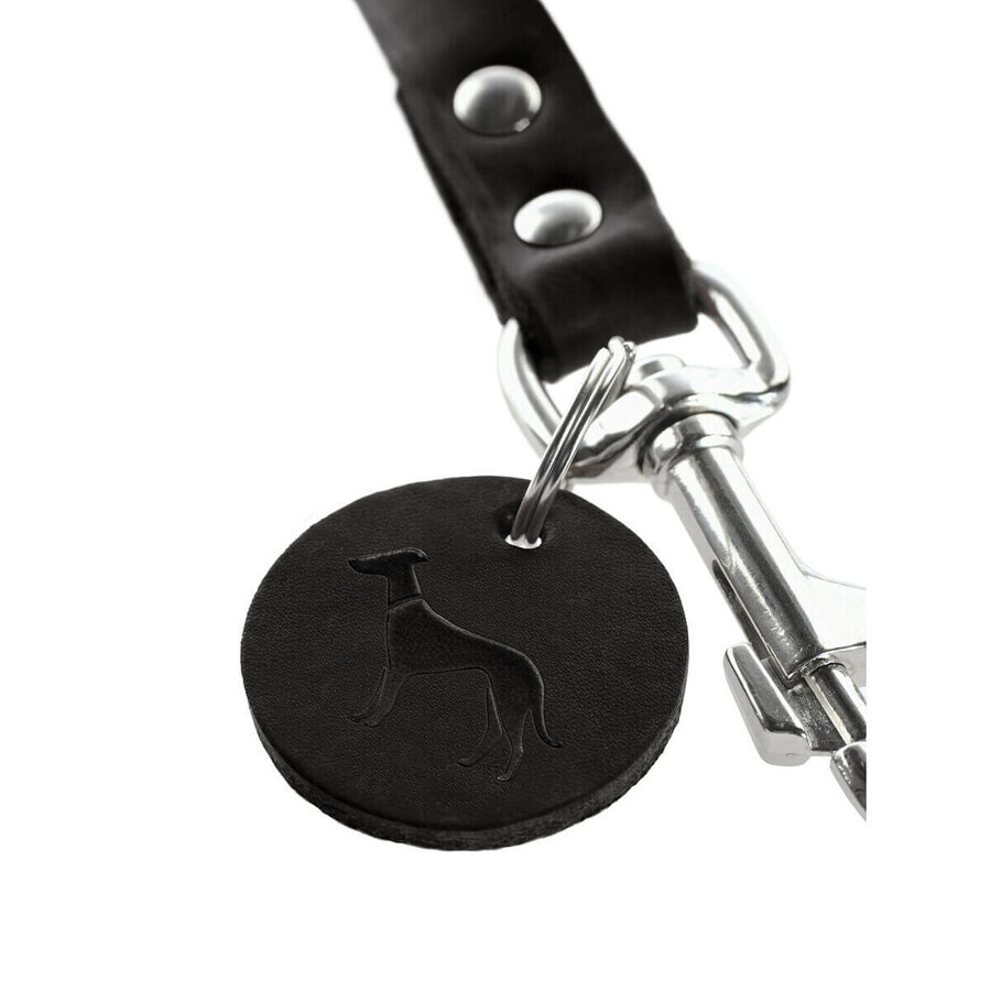 Laisse pour Chien Hunter Noir 200 cm