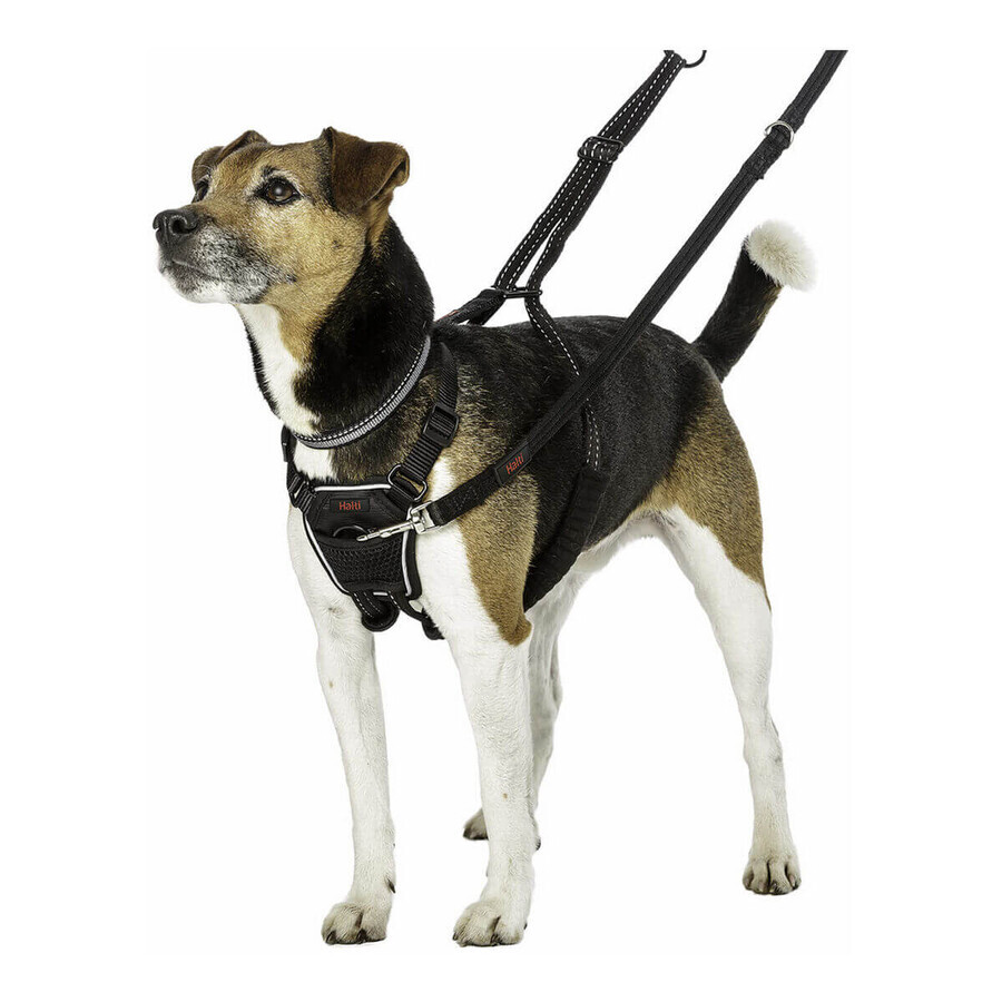 Imbracatura per Cani Company of Animals Halti Taglia S (26-36 cm) Imbracatura per Cani Company of Animals Halti Taglia S (26-36 cm)