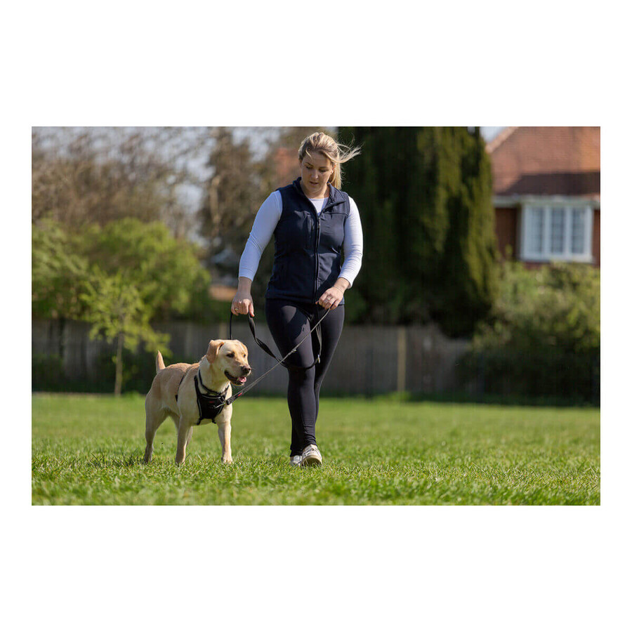Imbracatura per Cani Company of Animals Halti Taglia S (26-36 cm) Imbracatura per Cani Company of Animals Halti Taglia S (26-36 cm)