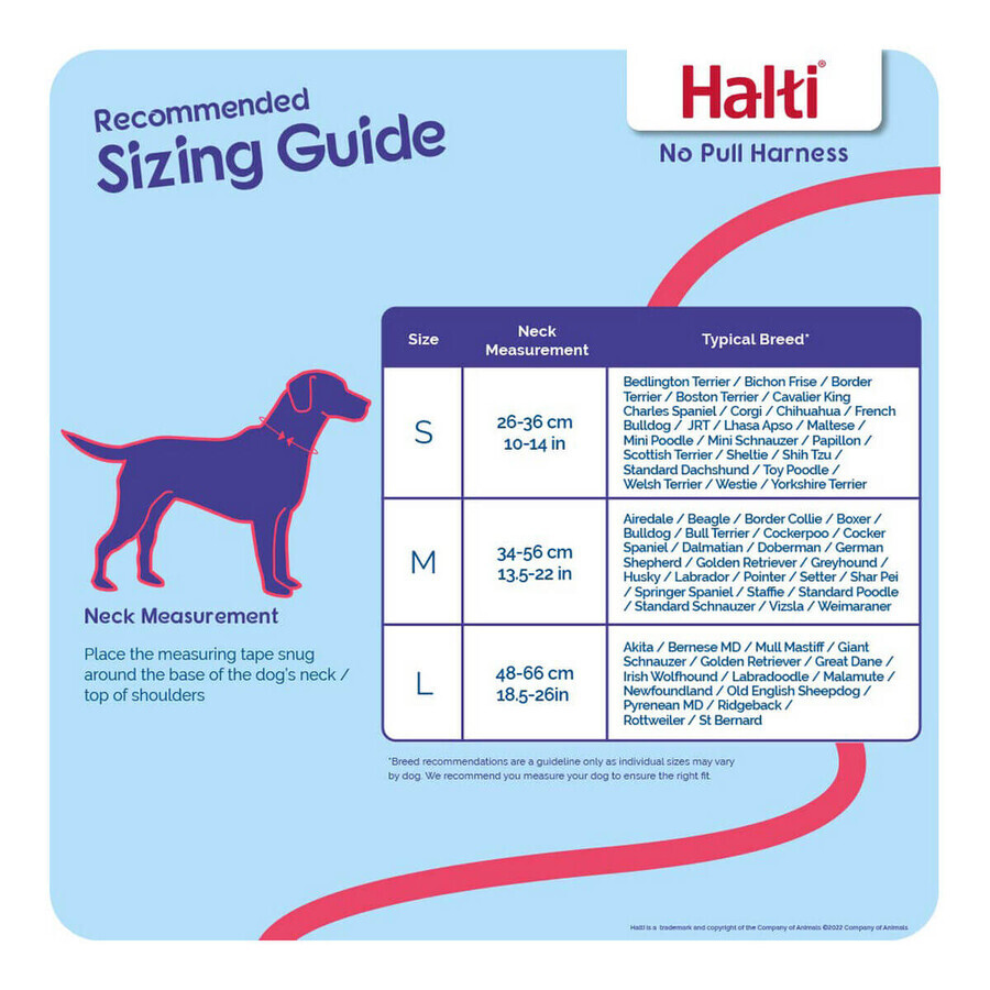 Imbracatura per Cani Company of Animals Halti Taglia S (26-36 cm) Imbracatura per Cani Company of Animals Halti Taglia S (26-36 cm)