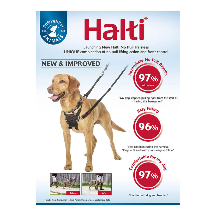 Imbracatura per Cani Company of Animals Halti Taglia S (26-36 cm) Imbracatura per Cani Company of Animals Halti Taglia S (26-36 cm)