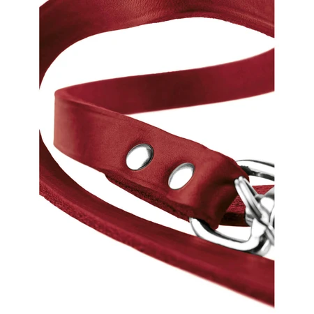 Correa para perro Hunter Rojo Hunter 2 m Cuero Ajustable