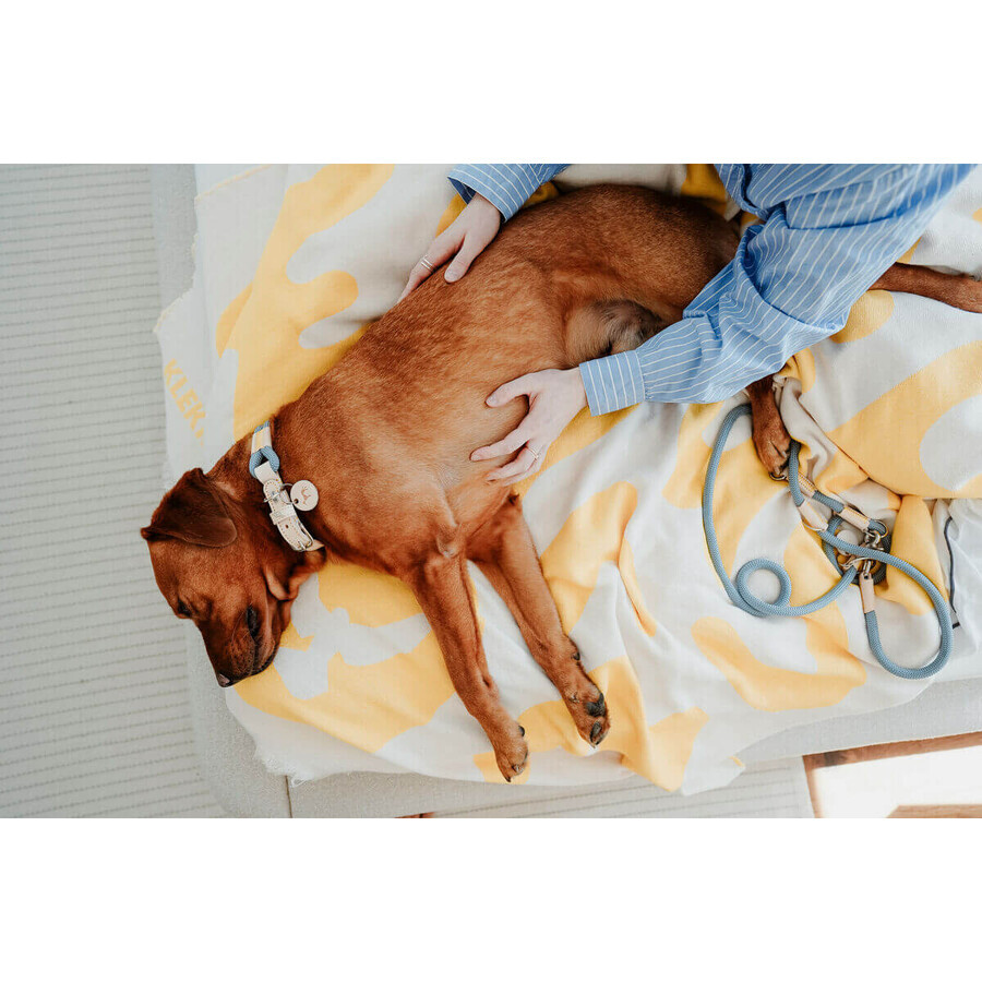 Collare per Cani Hunter MALIA M Azzurro 12 40-49 cm