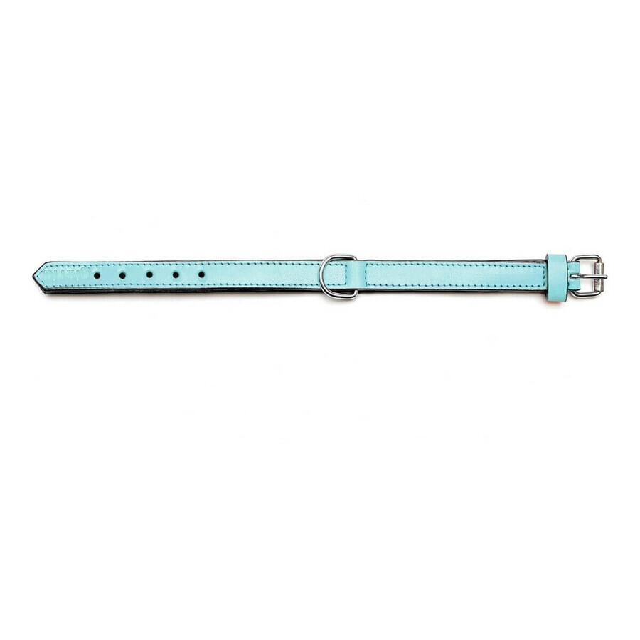 Zgardă pentru câini Gloria Căptușit Albastru (35 x 1,5 cm) Zgardă pentru câini Gloria Căptușit Albastru (35 x 1,5 cm)