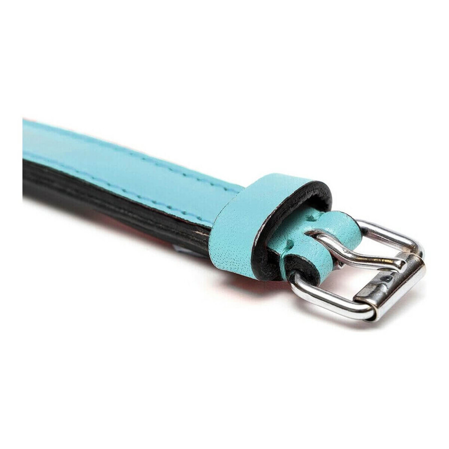 Zgardă pentru câini Gloria Căptușit Albastru (35 x 1,5 cm) Zgardă pentru câini Gloria Căptușit Albastru (35 x 1,5 cm)