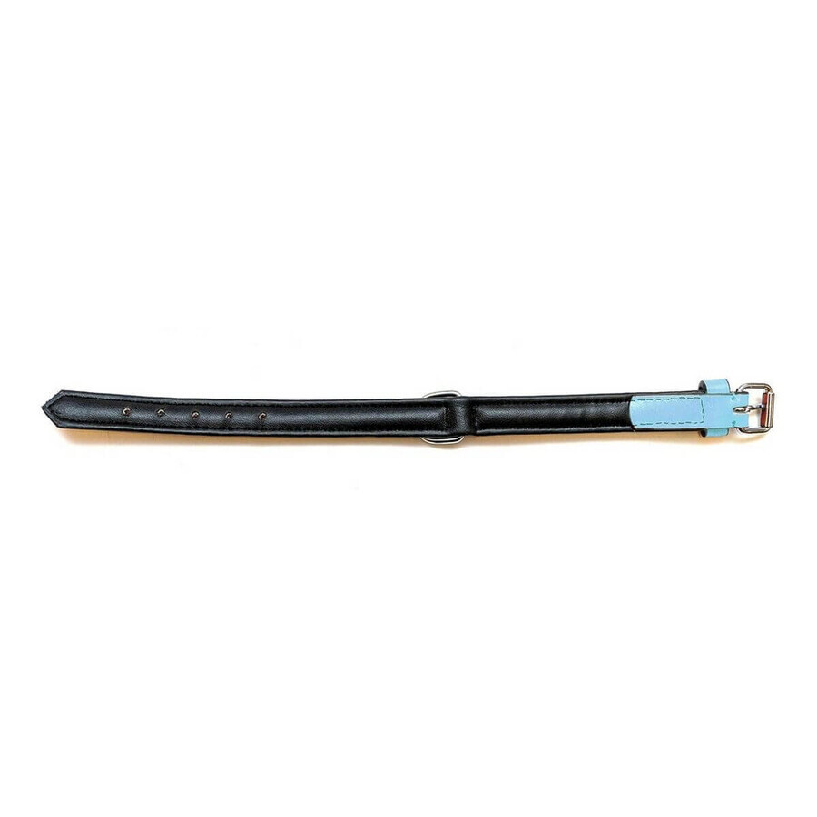 Zgardă pentru câini Gloria Căptușit Albastru (35 x 1,5 cm) Zgardă pentru câini Gloria Căptușit Albastru (35 x 1,5 cm)