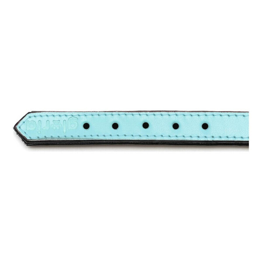 Zgardă pentru câini Gloria Căptușit Albastru (35 x 1,5 cm) Zgardă pentru câini Gloria Căptușit Albastru (35 x 1,5 cm)