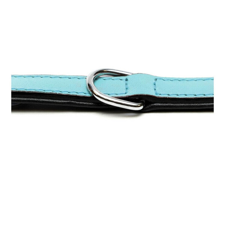 Zgardă pentru câini Gloria Căptușit Albastru (35 x 1,5 cm) Zgardă pentru câini Gloria Căptușit Albastru (35 x 1,5 cm)