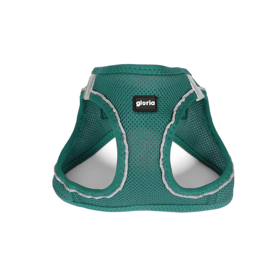 Ham pentru câini Gloria Trek Star 32,8-35,4 cm 45-47 cm Turquoise M Ham pentru câini Gloria Trek Star 32,8-35,4 cm 45-47 cm Turquoise M