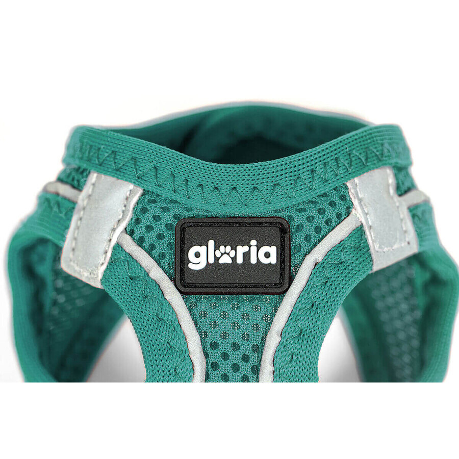 Ham pentru câini Gloria Trek Star 32,8-35,4 cm 45-47 cm Turquoise M Ham pentru câini Gloria Trek Star 32,8-35,4 cm 45-47 cm Turquoise M