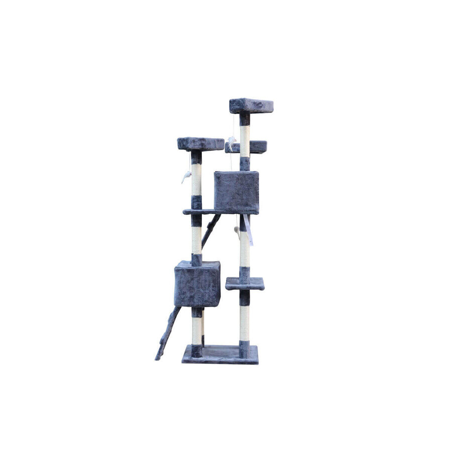 Ansamblu de joacă pentru pisici Gloria Nilo Gri 7,5 cm Ansamblu de joacă pentru pisici Gloria Nilo Gri 7,5 cm