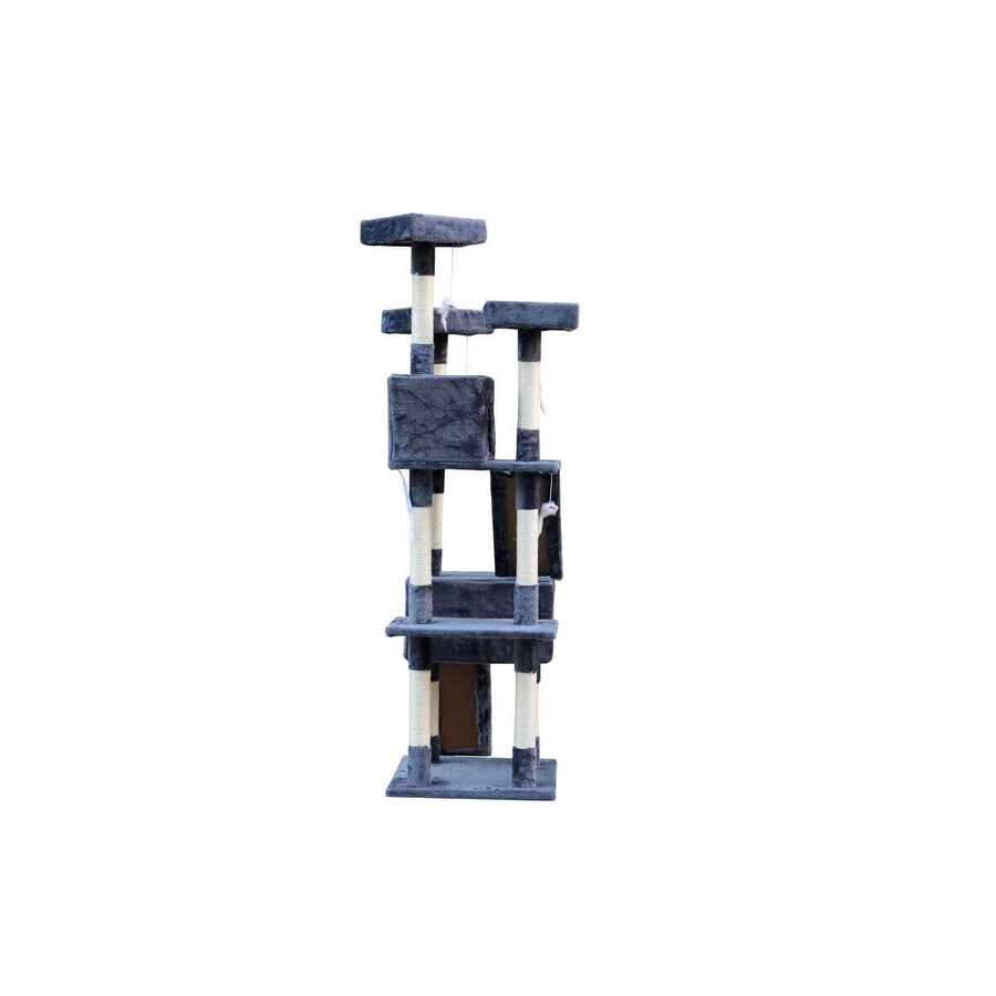 Ansamblu de joacă pentru pisici Gloria Nilo Gri 7,5 cm Ansamblu de joacă pentru pisici Gloria Nilo Gri 7,5 cm