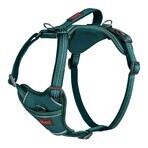 Imbracatura per Cani Company of Animals Turchese S 28-42 cm Imbracatura per Cani Company of Animals Turchese S 28-42 cm