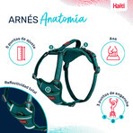 Imbracatura per Cani Company of Animals Turchese S 28-42 cm Imbracatura per Cani Company of Animals Turchese S 28-42 cm