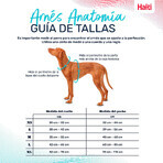 Imbracatura per Cani Company of Animals Turchese S 28-42 cm Imbracatura per Cani Company of Animals Turchese S 28-42 cm