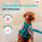 Imbracatura per Cani Company of Animals Turchese S 28-42 cm Imbracatura per Cani Company of Animals Turchese S 28-42 cm