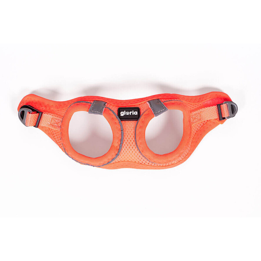 Ham pentru câini Gloria Trek Star 32,8-35,4 cm 45-47 cm Portocaliu M Ham pentru câini Gloria Trek Star 32,8-35,4 cm 45-47 cm Portocaliu M