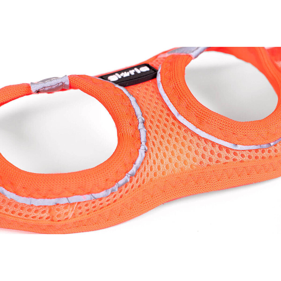Ham pentru câini Gloria Trek Star 32,8-35,4 cm 45-47 cm Portocaliu M Ham pentru câini Gloria Trek Star 32,8-35,4 cm 45-47 cm Portocaliu M