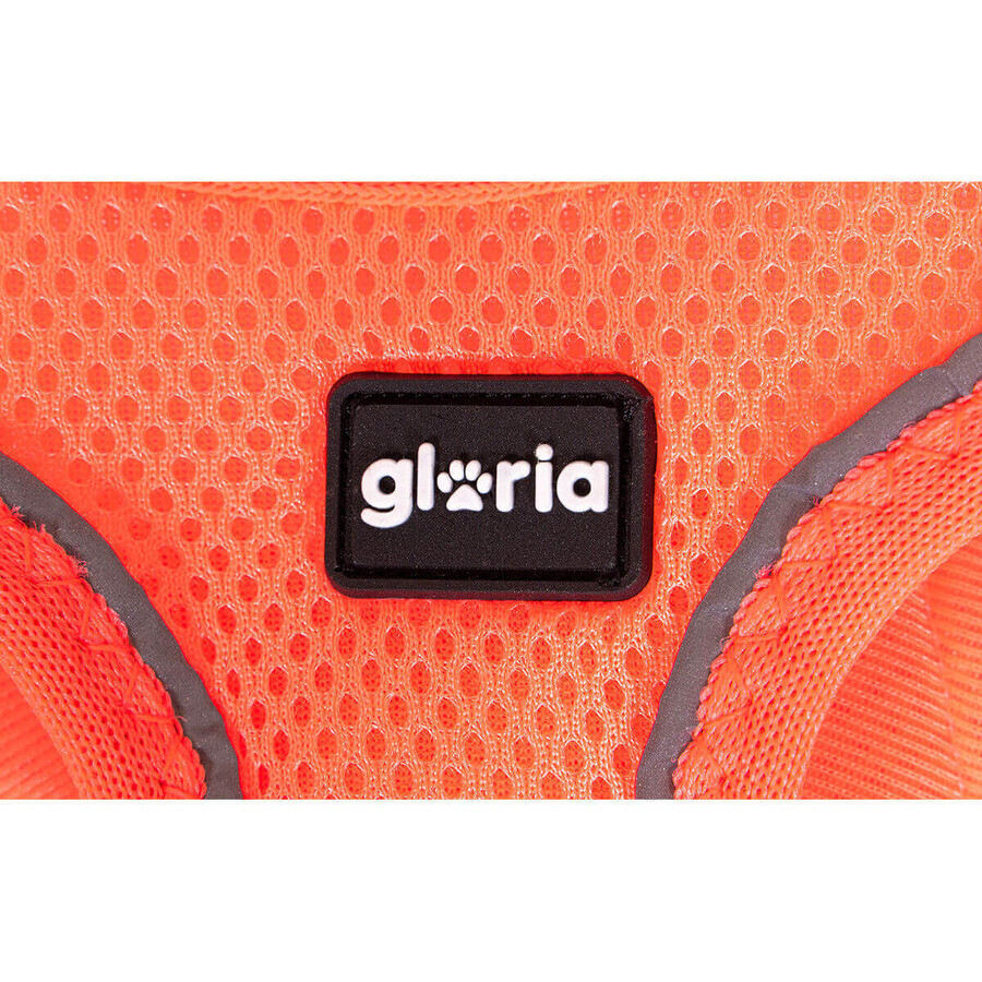 Ham pentru câini Gloria Trek Star 32,8-35,4 cm 45-47 cm Portocaliu M Ham pentru câini Gloria Trek Star 32,8-35,4 cm 45-47 cm Portocaliu M