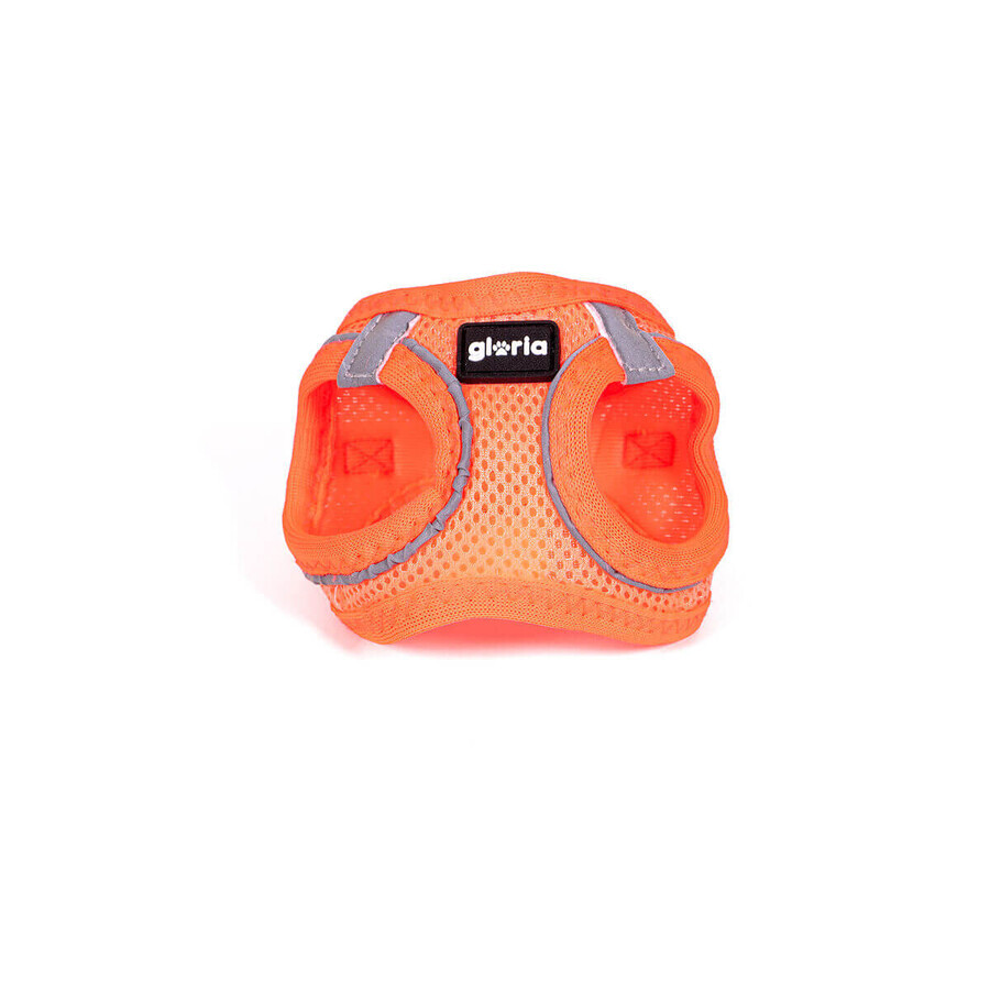 Ham pentru câini Gloria Trek Star 32,8-35,4 cm 45-47 cm Portocaliu M Ham pentru câini Gloria Trek Star 32,8-35,4 cm 45-47 cm Portocaliu M