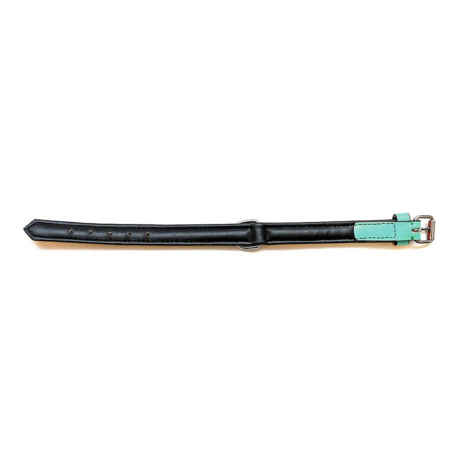 Zgardă pentru câini Gloria Căptușit Verde (35 x 1,5 cm) Zgardă pentru câini Gloria Căptușit Verde (35 x 1,5 cm)