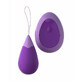 Pipedream Vibrator