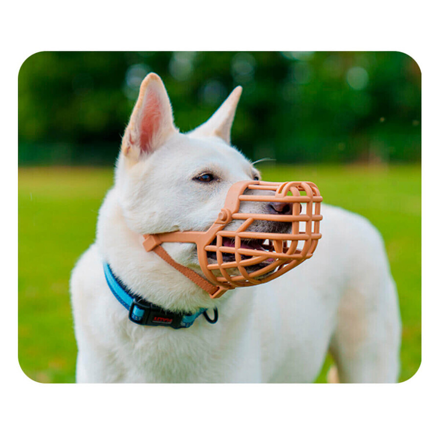 Muzzle Company of Animals Brown 8 Muzzle Company of Animals Brown 8
