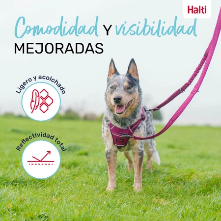 Hundeleine Company of Animals Burgunderrot L
