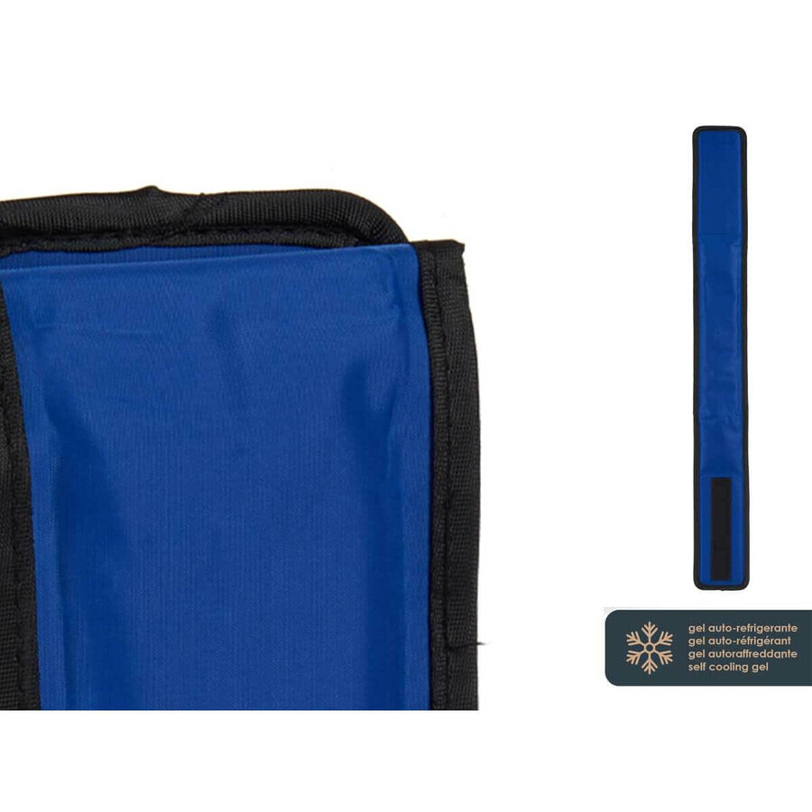 Zgardă pentru câini Albastru Negru PVC Gel 8 x 1 x 66 cm Refrigerant (4 Unități) Zgardă pentru câini Albastru Negru PVC Gel 8 x 1 x 66 cm Refrigerant (4 Unități)
