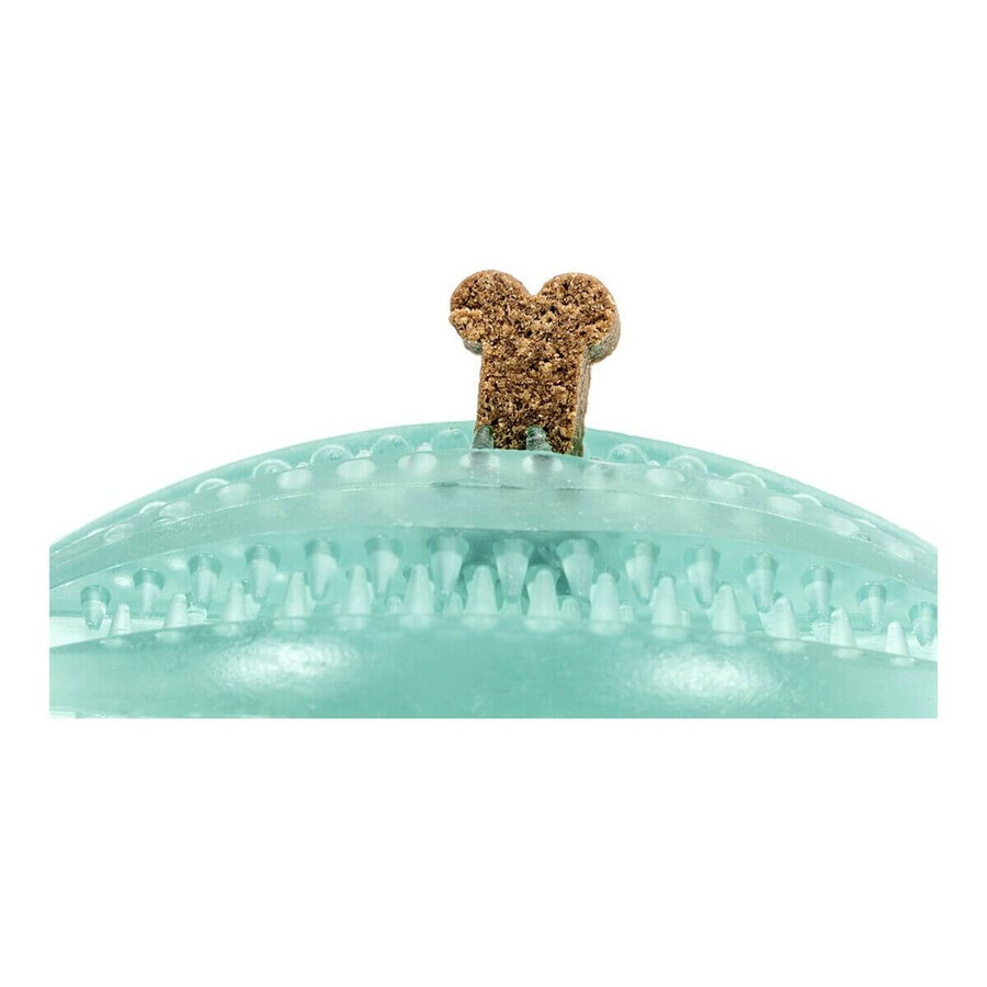 Jucărie pentru câini Gloria Îngrijire dentară TPR Culori asortate (9 cm) Jucărie pentru câini Gloria Îngrijire dentară TPR Culori asortate (9 cm)