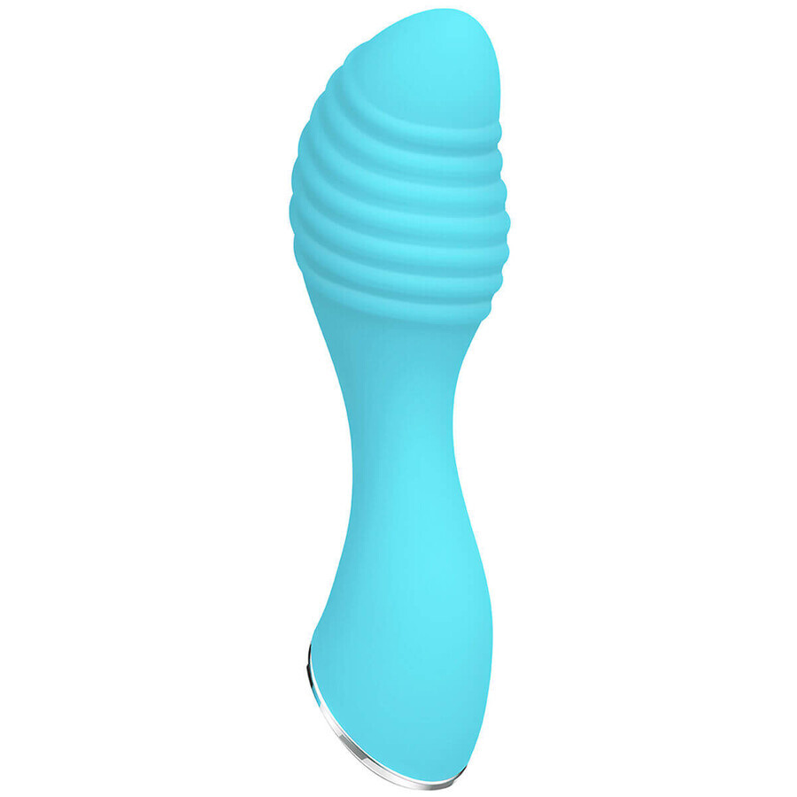 Vibrateur Evolved Blue