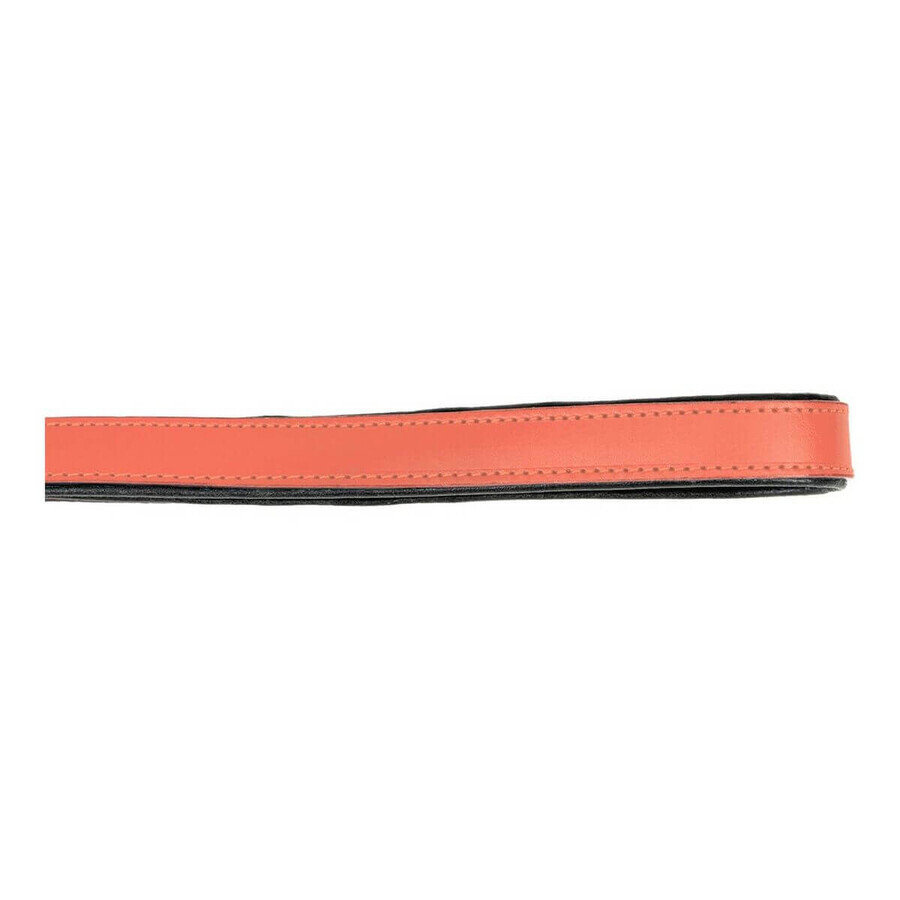 Dog Lead Gloria 1.8 x 100 cm Coral Dog Lead Gloria 1.8 x 100 cm Coral
