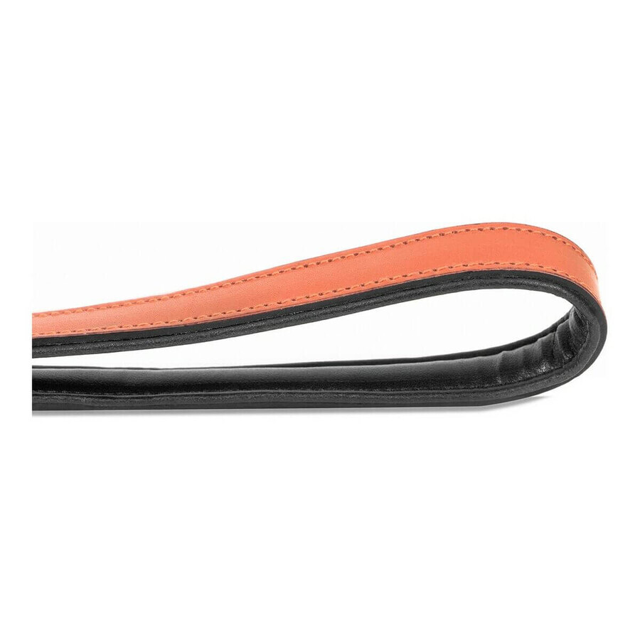 Dog Lead Gloria 1.8 x 100 cm Coral Dog Lead Gloria 1.8 x 100 cm Coral
