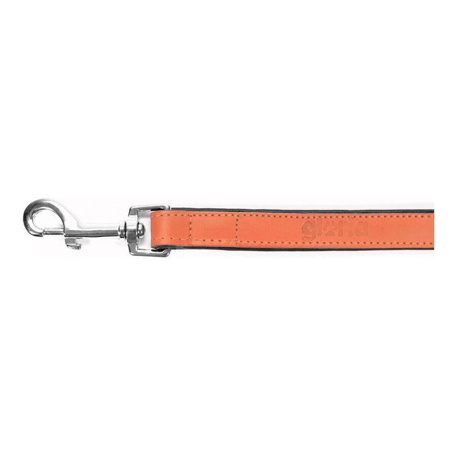 Dog Lead Gloria 1.8 x 100 cm Coral Dog Lead Gloria 1.8 x 100 cm Coral
