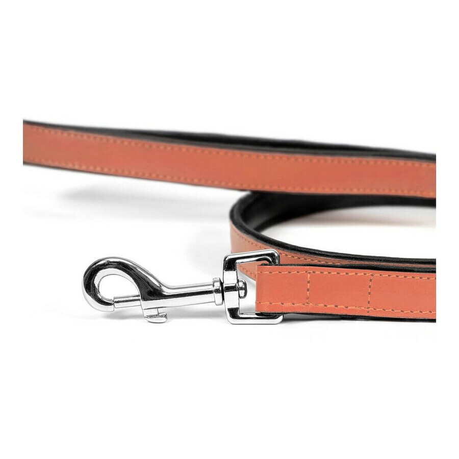 Dog Lead Gloria 1.8 x 100 cm Coral Dog Lead Gloria 1.8 x 100 cm Coral
