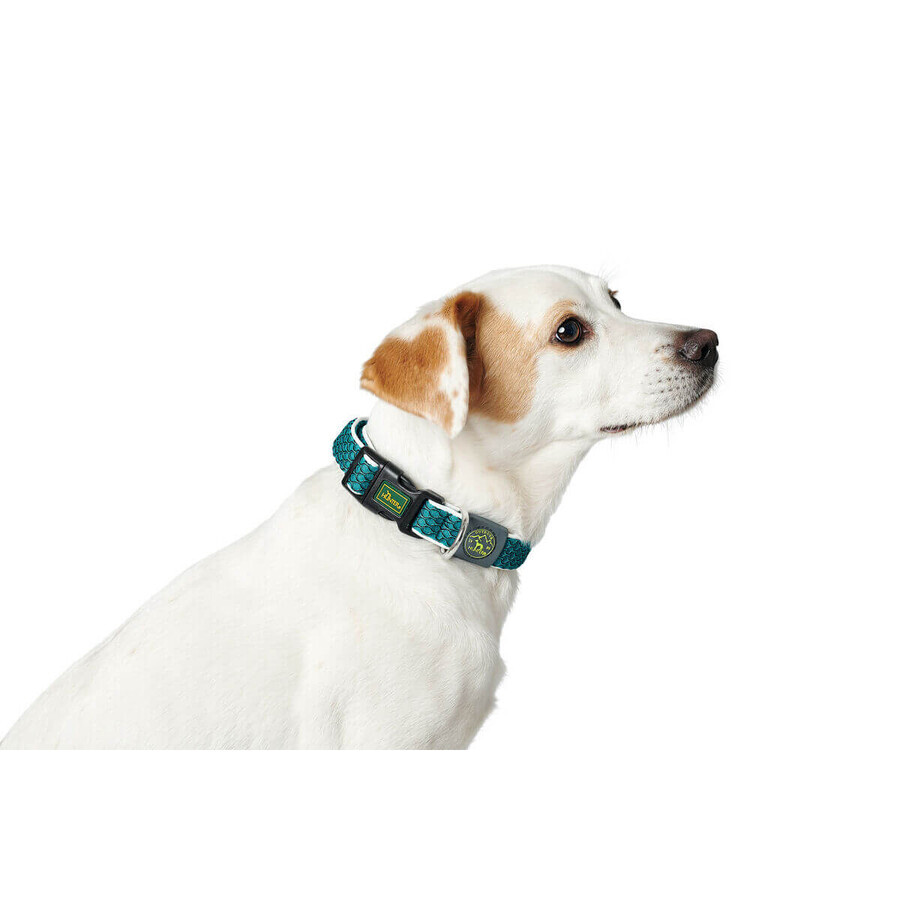 Zgardă pentru câini Hunter Turquoise 12 Zgardă pentru câini Hunter Turquoise 12