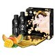 Pleasure Kit Shunga SH7702 (2 St&#252;ck)