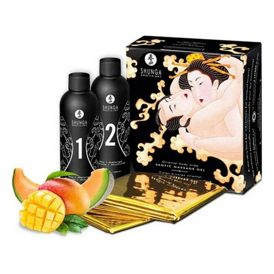 Shop Pleasure Kit Shunga SH7702 (2 Stück) Pleasure Kit Shunga SH7702 (2 Stück)