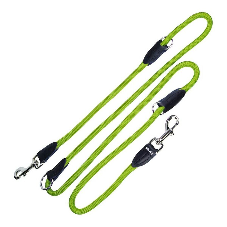 Acquista Guinzaglio per Cani Gloria 1.2 x 200 cm Verde Guinzaglio per Cani Gloria 1.2 x 200 cm Verde