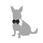 déguisement pour chien Nœud papillon S déguisement pour chien Nœud papillon S