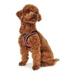 Hondentuigje Hunter Hilo-Comfort Rood (30-35 cm)