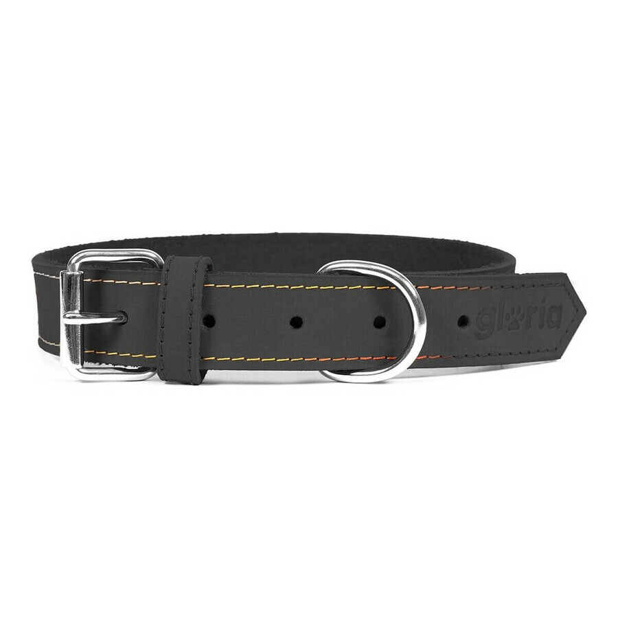 Boutique Collier pour chien Gloria Oasis Noir (55 x 2,5 cm) Collier pour chien Gloria Oasis Noir (55 x 2,5 cm)