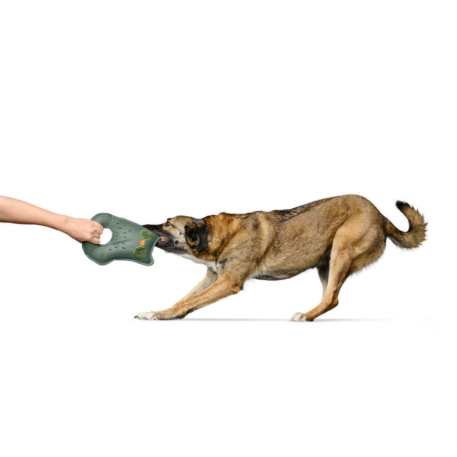 Giocattoli per cani Hunter Tough Tundra Verde Gufo