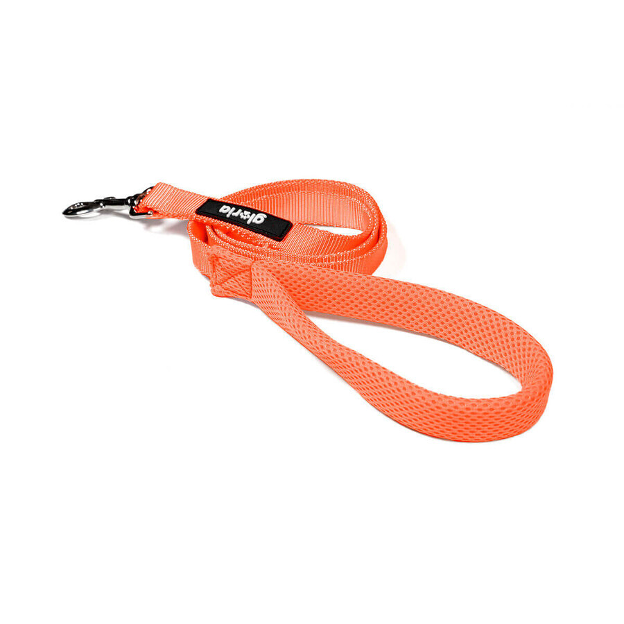 Winkel op Hondenriem Gloria Oranje S Hondenriem Gloria Oranje S