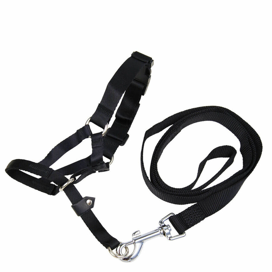 Buy Muzzle Gloria Black 2 Muzzle Gloria Black 2