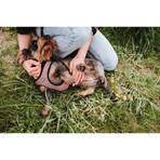 Șuncă pentru câini Hunter Comfort Roz S/M 48-55 cm Șuncă pentru câini Hunter Comfort Roz S/M 48-55 cm