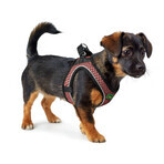Șuncă pentru câini Hunter Comfort Roz S/M 48-55 cm Șuncă pentru câini Hunter Comfort Roz S/M 48-55 cm