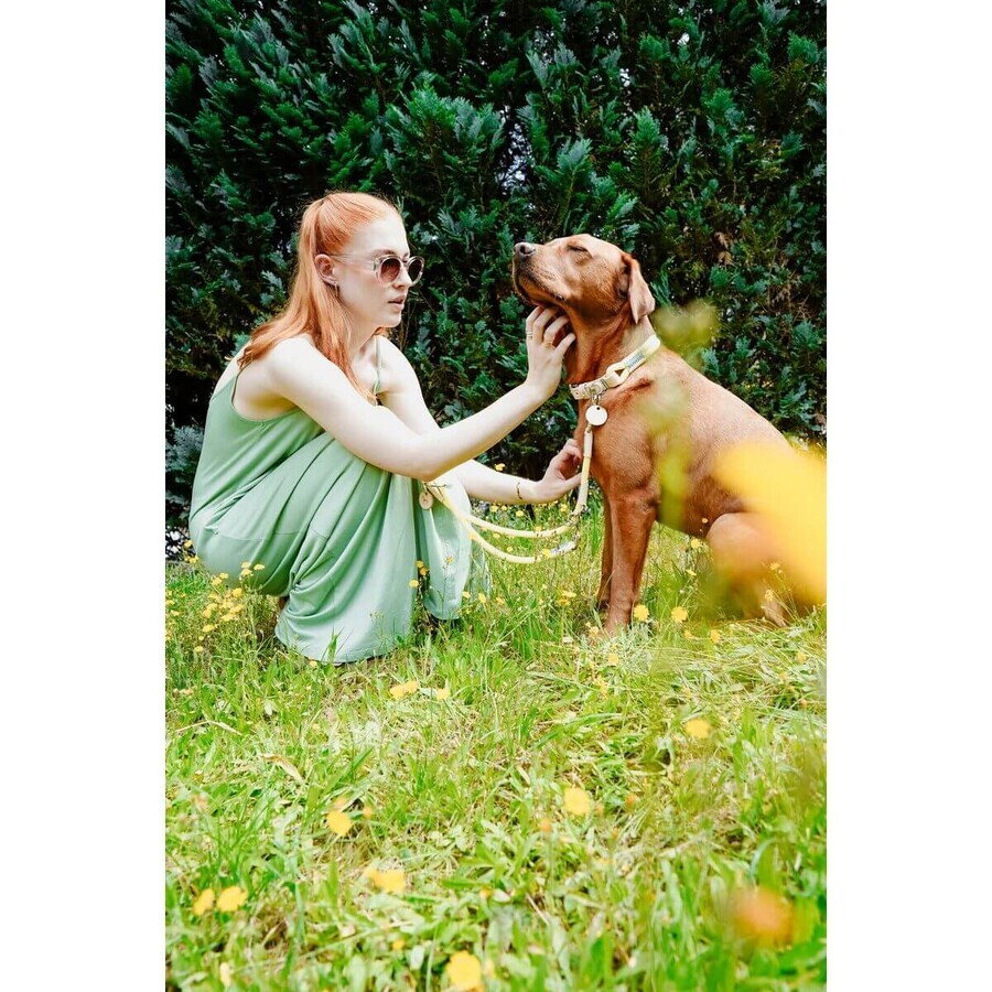 Collier pour Chien Hunter Malia Citron S/M 35-44 cm Collier pour Chien Hunter Malia Citron S/M 35-44 cm